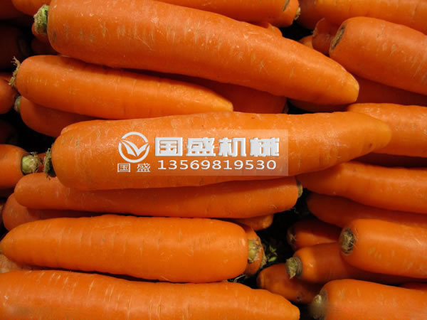 国盛胡萝卜脱水挤压机 国盛胡萝卜脱水挤压机