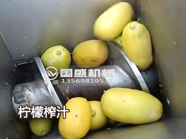 国盛新款大型柠檬榨汁机 国盛新款大型柠檬榨汁机